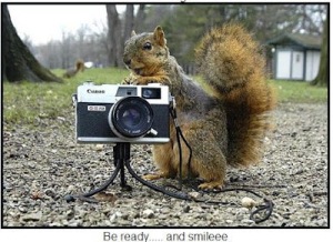 Gambar hewan lucu tupai memegang kamera.jpg